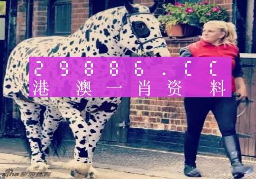 澳门王中王一肖一中一码,澳门王中王一中一码的秘密与魅力