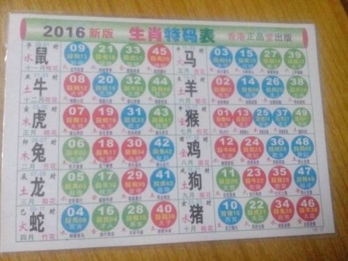 2025十二生肖49码表,揭秘十二生肖与数字密码，2025年十二生肖49码表详解