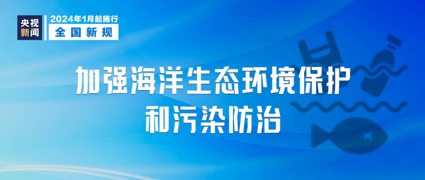 2025年免费下载新澳,迈向2025年，新澳资源的免费下载时代