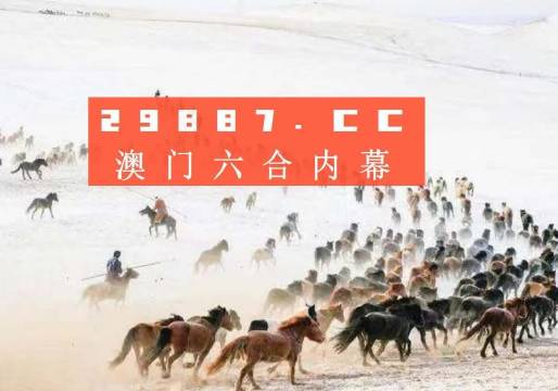 老澳门彩4949最新开奖记录,老澳门彩4949最新开奖记录，历史与现代的交融