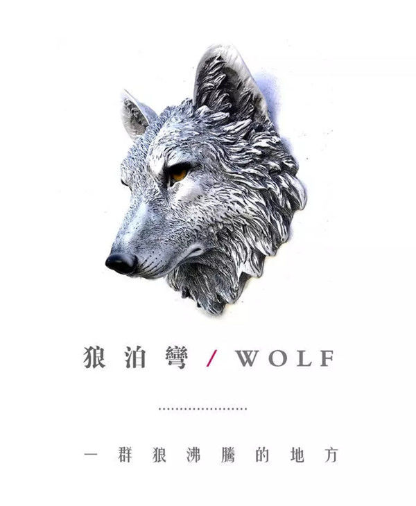 今期四不像图今晚,今期四不像图，探索艺术的神秘魅力与今晚的独特韵味