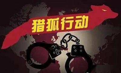 澳门4949彩论坛高手,澳门4949彩论坛高手与犯罪问题探讨