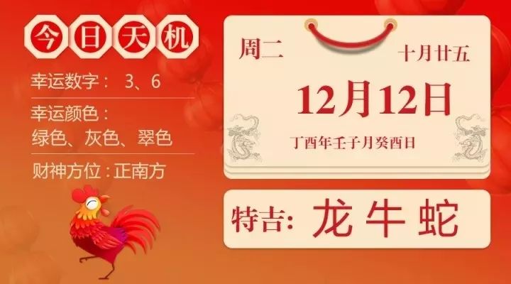 2004最准的一肖一码100%,揭秘2004年生肖密码，一肖一码精准预测背后的秘密
