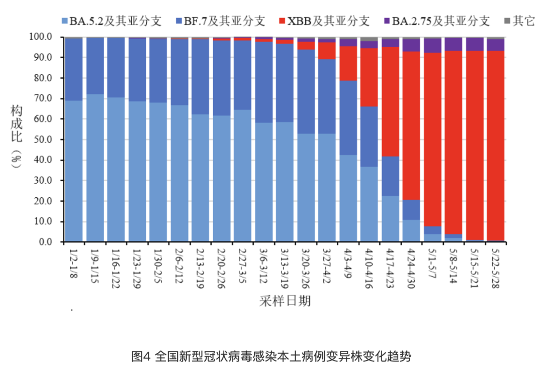 新澳门彩出码综合走势,新澳门彩出码综合走势——揭示背后的风险与挑战