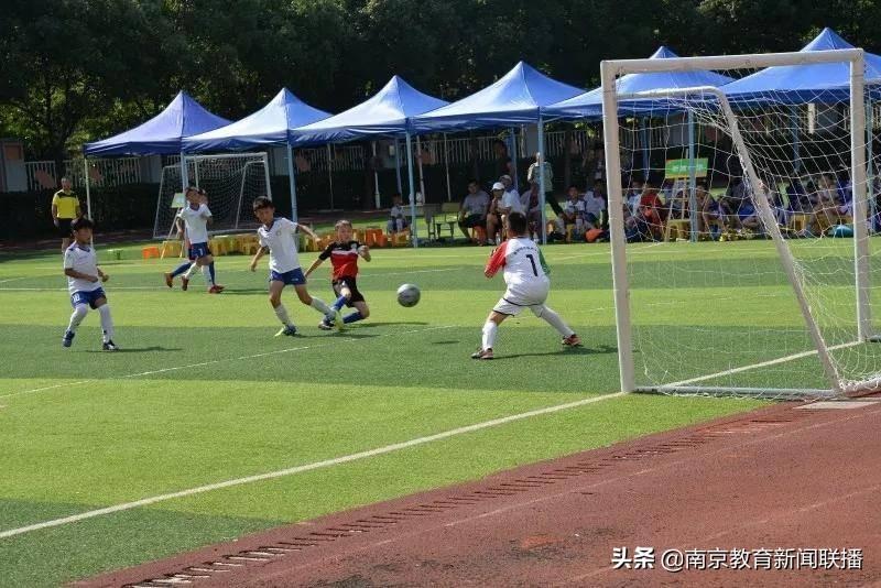 2025新奥历史开奖记录78期,探索新奥历史，揭秘2025年开奖记录的第78期