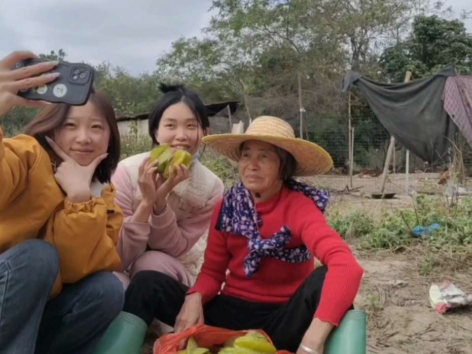 新澳好彩免费资料查询水果奶奶,新澳好彩与水果奶奶，一段奇妙的缘分