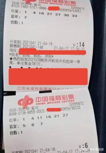 溴门天天彩最准最快资料,溴门天天彩最准最快资料，探索彩票预测的精准之道