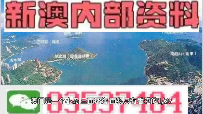 新澳门最精准确精准龙门,新澳门最精准确精准龙门，探索与解读