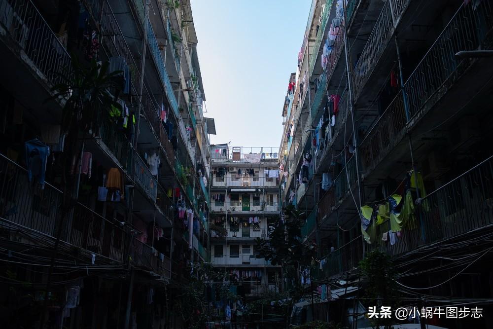 2025年新澳门天天开,探索新澳门，迎接2025年天天开放的魅力之旅