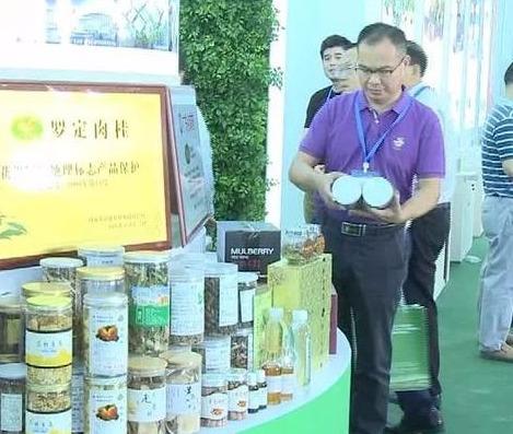 香港100%最准一肖中,香港100%最准一肖中，探索背后的神秘与真相