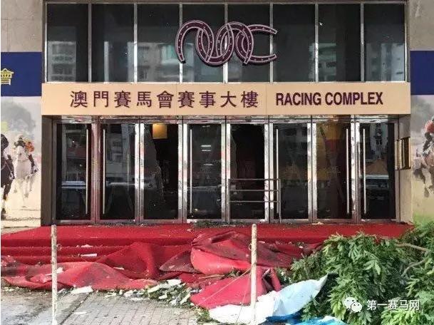 马会传真资料2025新澳门,马会传真资料2025新澳门——探索未来的繁荣与发展