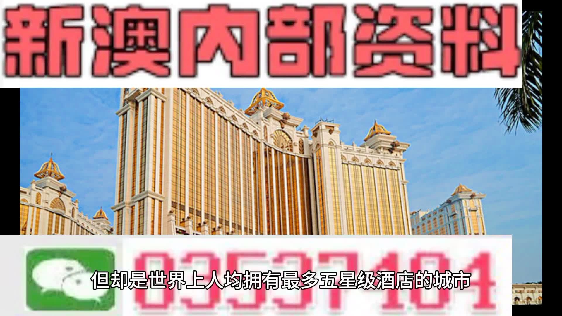 新澳门全年资料内部公开,新澳门全年资料内部公开，深度解读与探索
