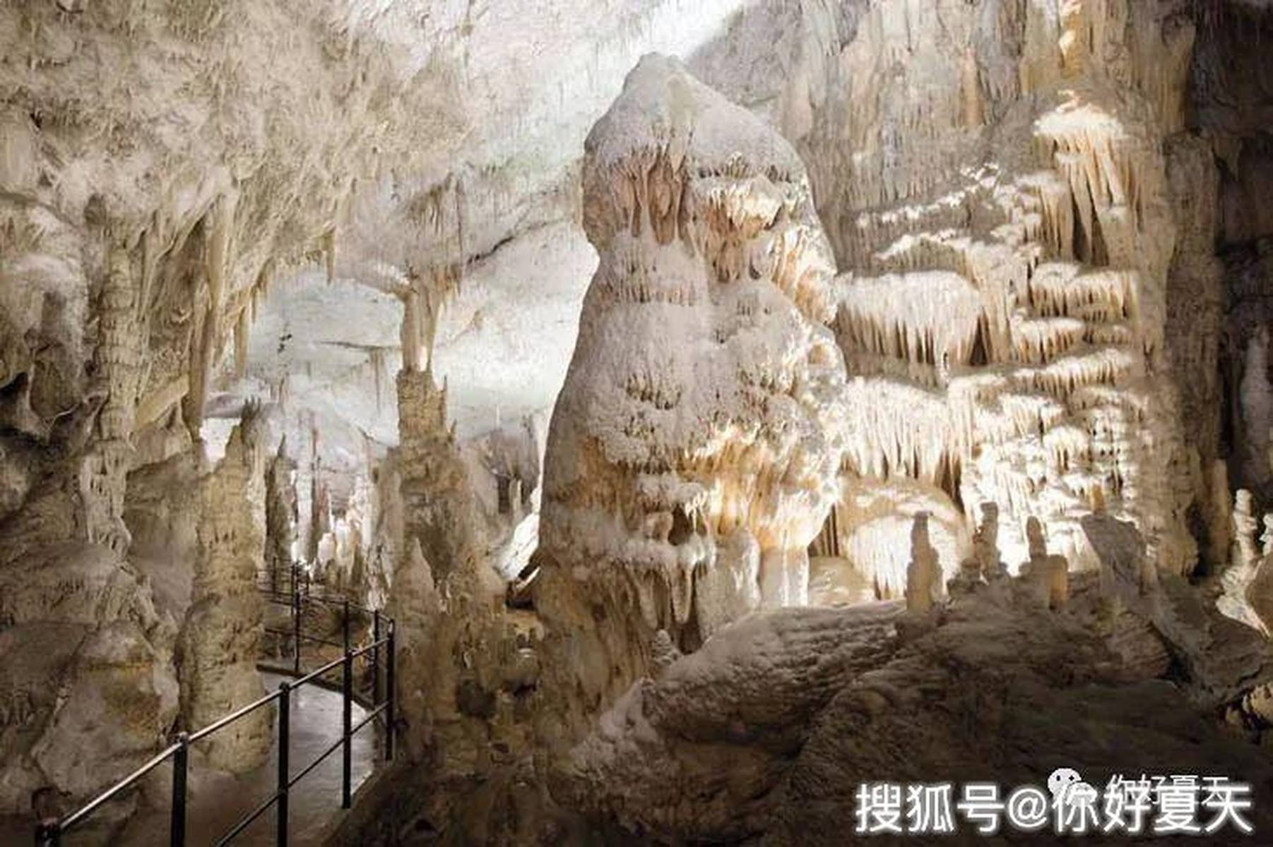2023澳门特马今晚开奖app,澳门特马今晚开奖app——探索彩票世界的神秘之旅