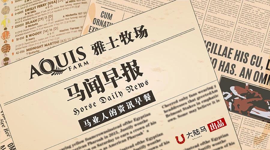 香港今晚开什么特马,香港今晚的马票结果预测与赛马文化深度解析