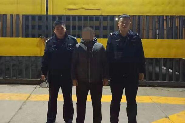 新奥彩天天开奖资料免费查询,新奥彩天天开奖资料免费查询，探索彩票世界的开放与透明