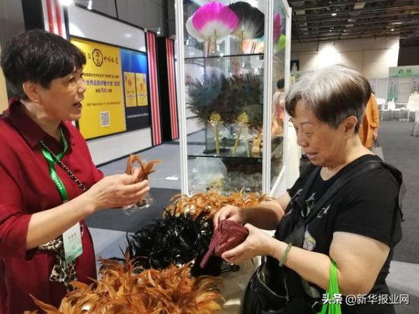 澳门四不像正版最新版本,澳门四不像正版最新版本，探索与解析