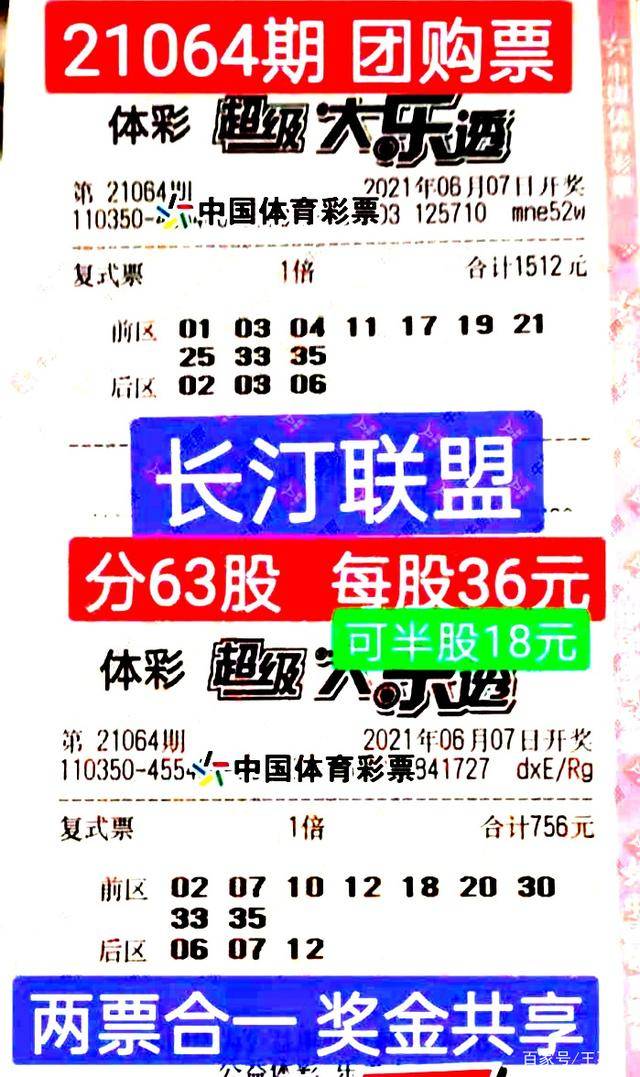 4949免费资料大全资中奖,揭秘4949免费资料大全与中奖奥秘，探索幸运之门的关键所在