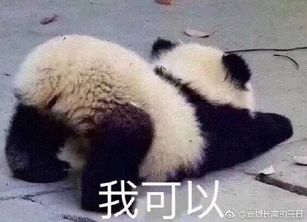 今晚四不像必中一肖图118,今晚四不像必中一肖图118期，预测与解析