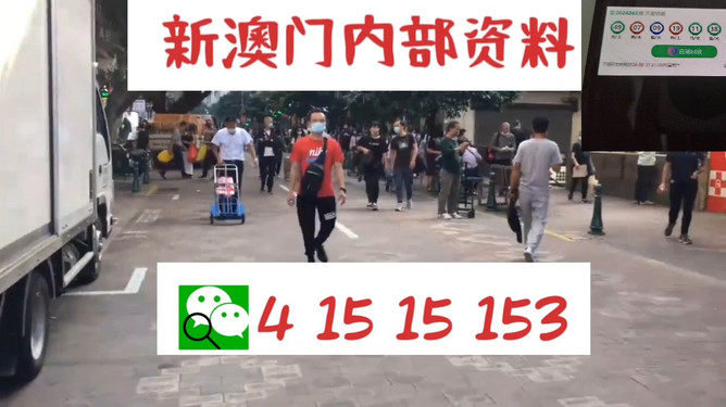 澳门管家婆资料一码一特一,澳门管家婆资料一码一特一，深度解析与探索