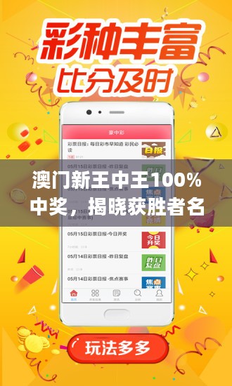 新澳门王中王王中王免费,新澳门王中王王中王免费——探索澳门文化的独特魅力