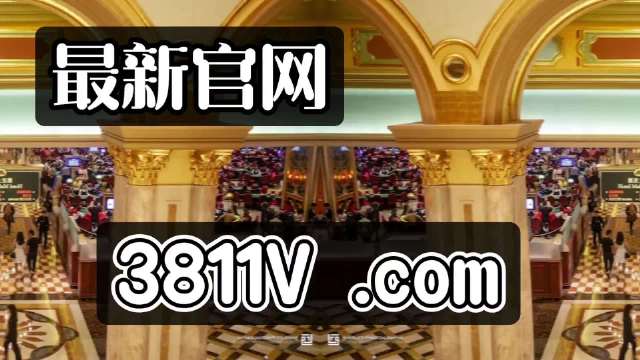 澳门大网站vip资料,澳门大网站VIP资料，探索其背后的故事与魅力