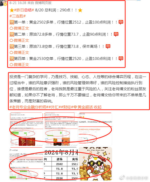 管家婆2025澳门正版资料,探索管家婆2025澳门正版资料，揭秘其背后的故事与未来展望