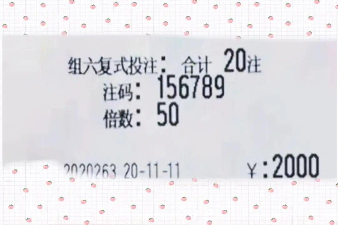 4949澳门今晚开奖结果,澳门今晚开奖结果揭晓，探索彩票背后的故事与期待