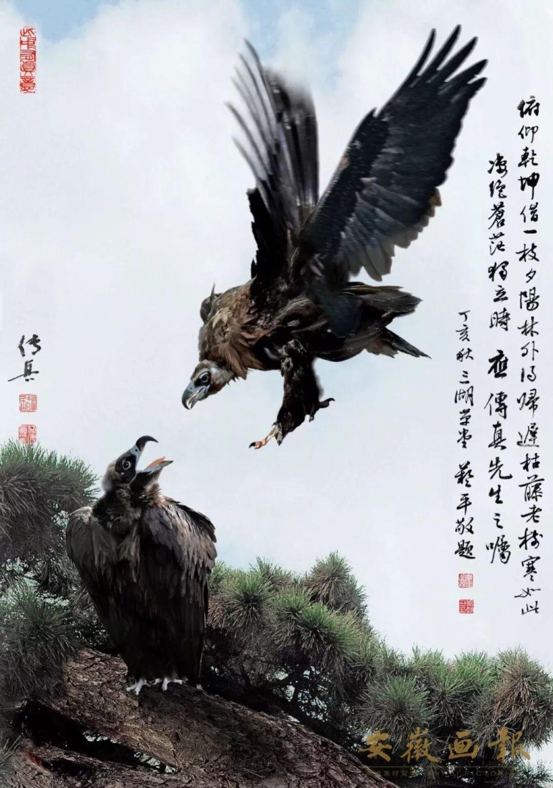 澳门传真澳门正版传真,澳门传真与正版传真的探索之旅