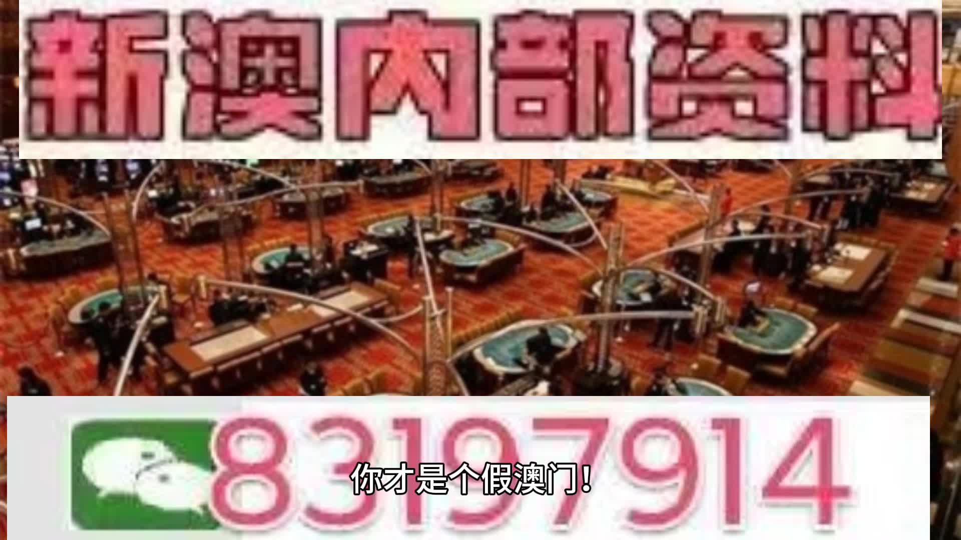 新澳门今晚开什么号码记录,澳门新号码记录，探索与解读
