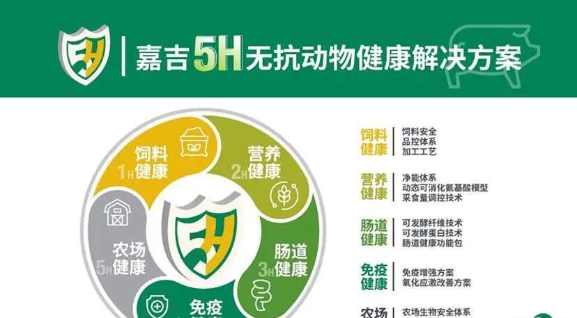 资讯 第68页