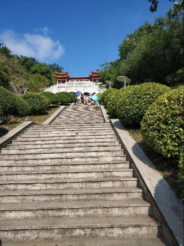 刘伯温精准三期内必开196,刘伯温精准三期内必开196，预测与现实的交织