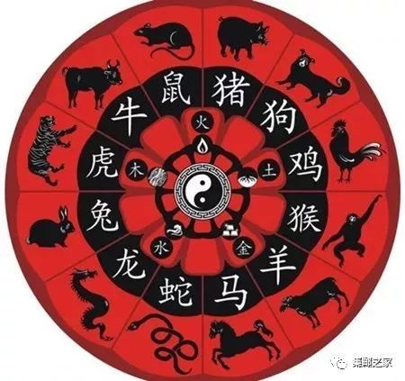 澳门今晚上必开一肖,澳门今晚上必开一肖——探索生肖彩票的魅力与玄机