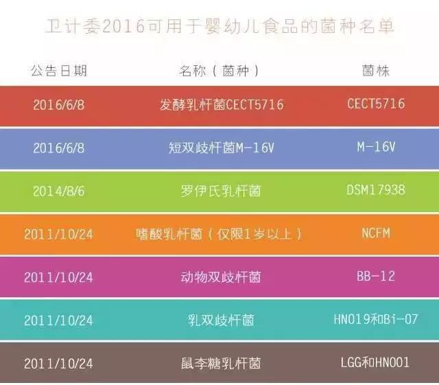 2025澳门买马最准网站,澳门买马最准的网站，探索预测与娱乐的交汇点（2025年展望）
