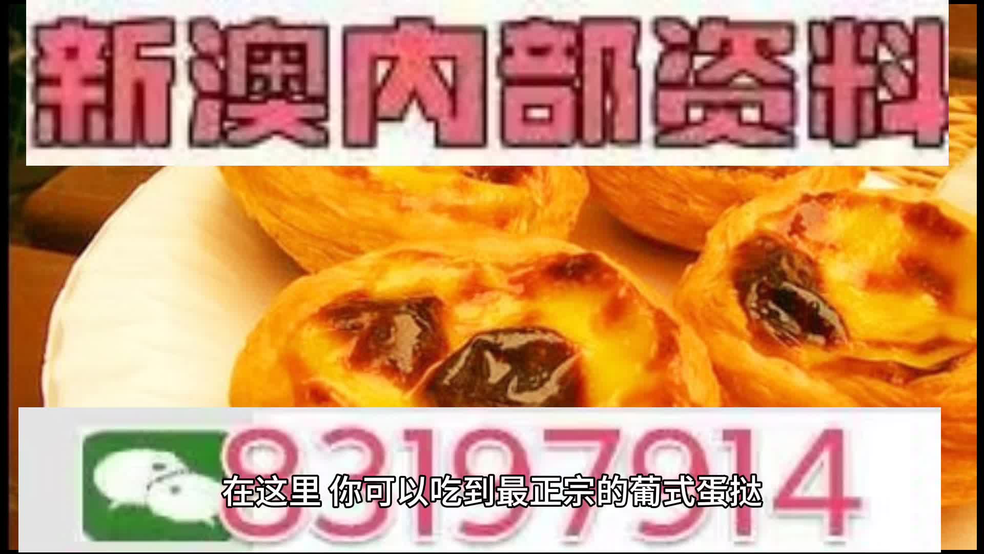 澳门中特网的网站,澳门中特网网站的发展与特点