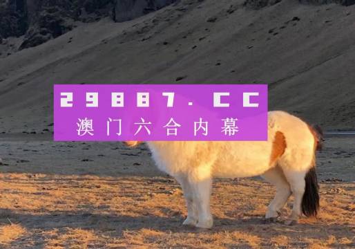 2025澳门正版免费码资料,澳门正版免费码资料，探索与期待