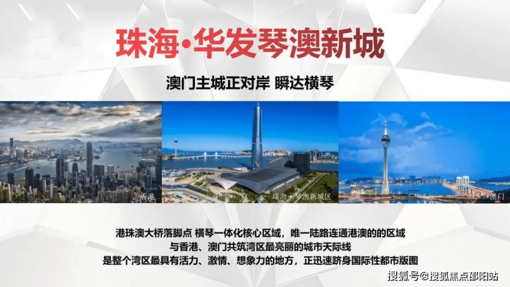 新澳今天最新资料网站,新澳今天最新资料网站，探索与解析