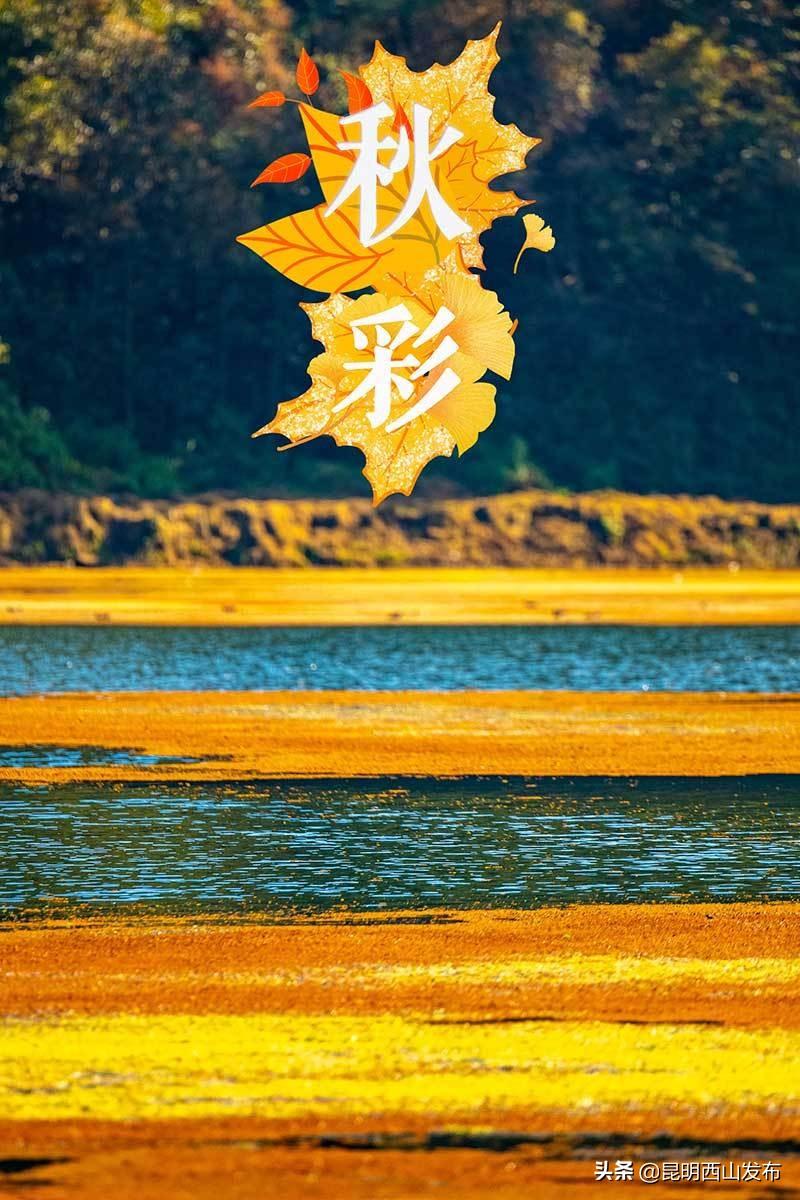 澳门天天彩正版免费进入方法,澳门天天彩正版免费进入方法及其相关解析