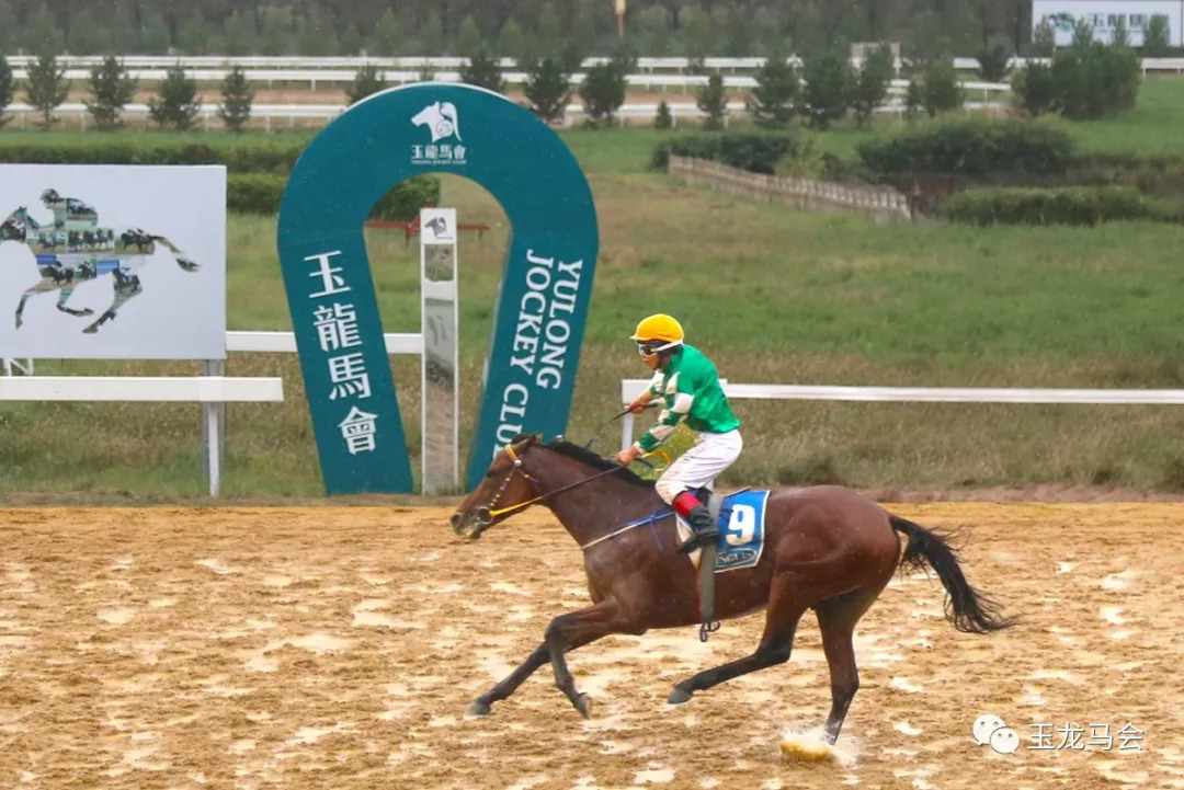 7777788888香港马,香港赛马，77777与88888的魅力对决