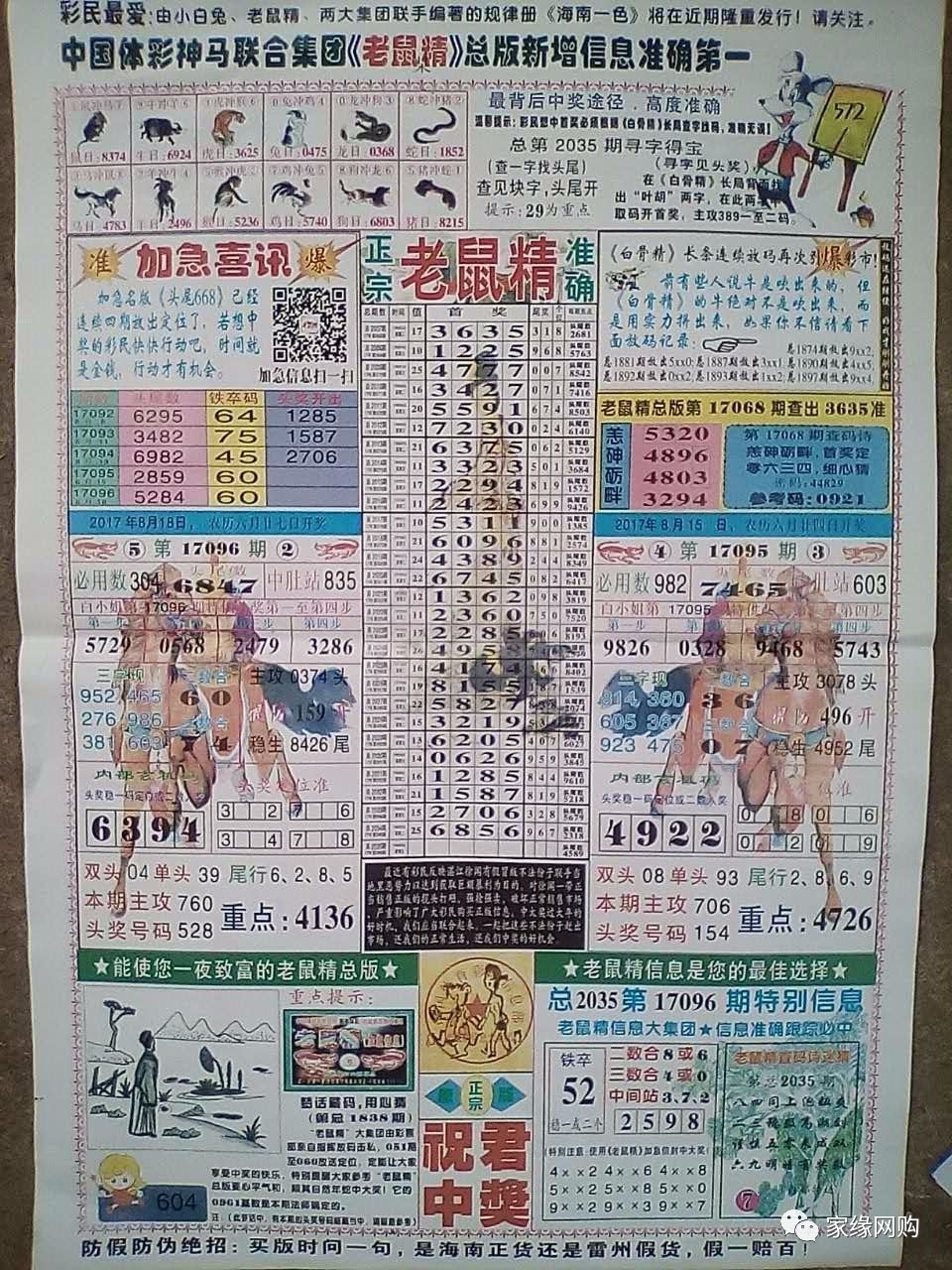 四肖期期准最准的资料,四肖期期准最准的资料解析与预测策略