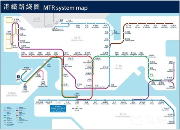 494949最快开奖结果+香港,探索香港494949最快开奖结果，揭秘彩票背后的秘密