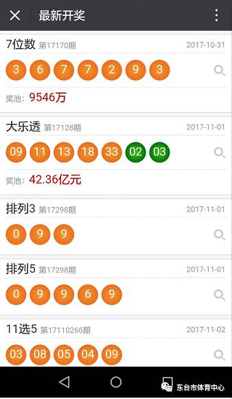 新奥门天天开奖资料大全,新澳门天天开奖资料大全，探索彩票的奥秘与吸引力