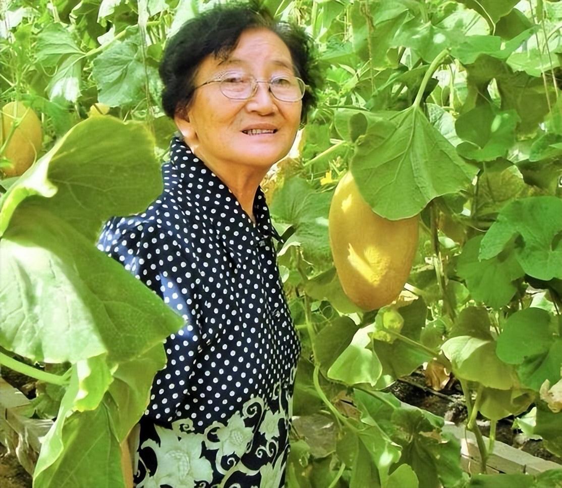 水果奶奶二论坛资料,水果奶奶二论坛资料分享与探讨