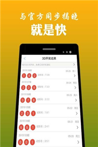 2023澳门彩天天开奖结果,澳门彩天天开奖结果，历史与未来的交织