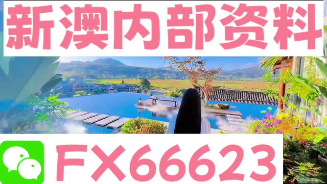 新澳今日最新资料,新澳今日最新资料详解