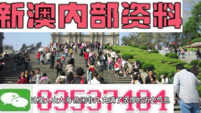 澳门最精准内部资料,澳门最精准内部资料详解