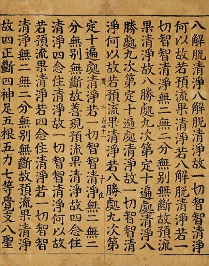二四六天天彩资料大全网址,探索二四六天天彩资料大全网址，一个全面的指南