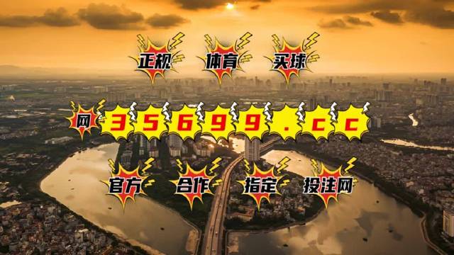 澳门王中王100的资料20,澳门王中王100的资料详解，历史背景与成就分析（1911字文章）