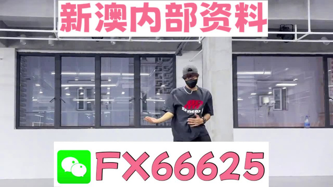 管家婆精准一码一肖揭秘,管家婆精准一码一肖揭秘，探寻背后的真相与秘密