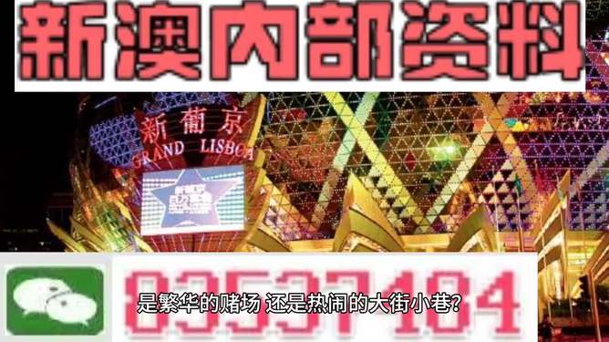 新澳最精准免费资料大全298期,新澳最精准免费资料大全298期，深度解析与预测