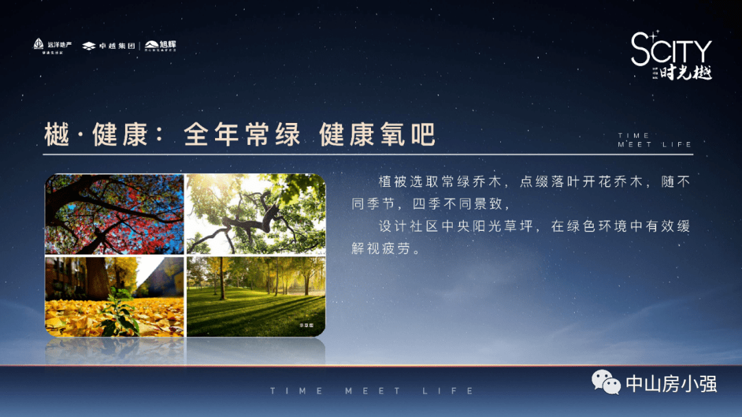 新澳姿料大全正版2025,新澳姿料大全正版2025，深度解析与应用展望